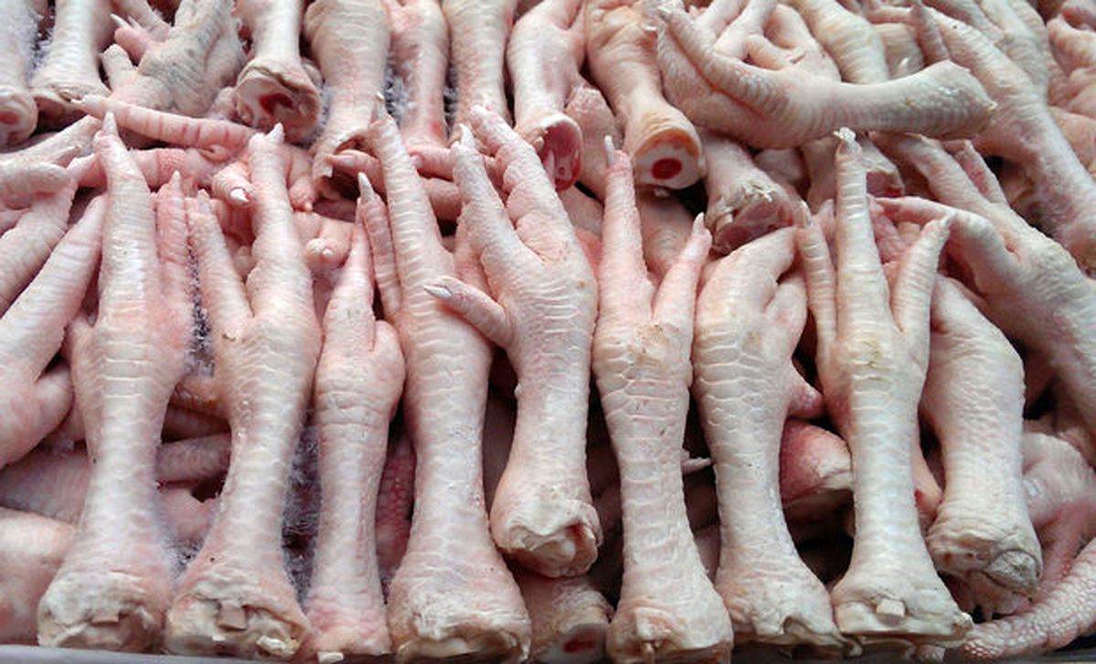 پای مرغ بخوریم یا نخوریم؟