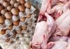 ریزش سنگین قیمت مرغ، تخم مرغ و گوشت قرمز در بازار