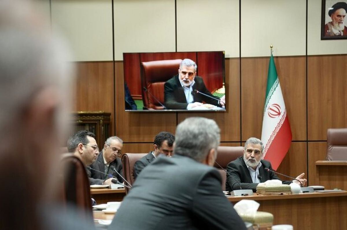 کمالوندی: باید به نگرش نخبگان به موضوع فناوری هسته‌ای توجه ویژه داشته باشیم