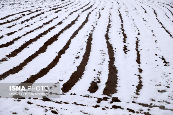 بارش برف مرز پیرانشهر را کاملا سفیدپوش کرد