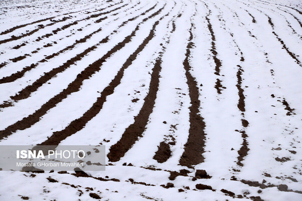 بارش برف مرز پیرانشهر را کاملا سفیدپوش کرد