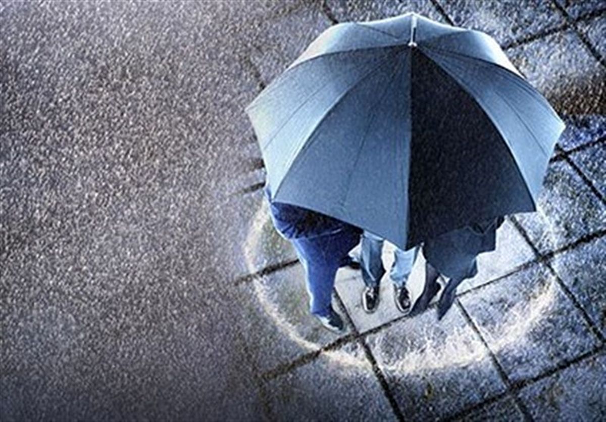 سورپرایز سهامداران با بیمه سهام / سود سهام 100 میلیونی چقدر؟