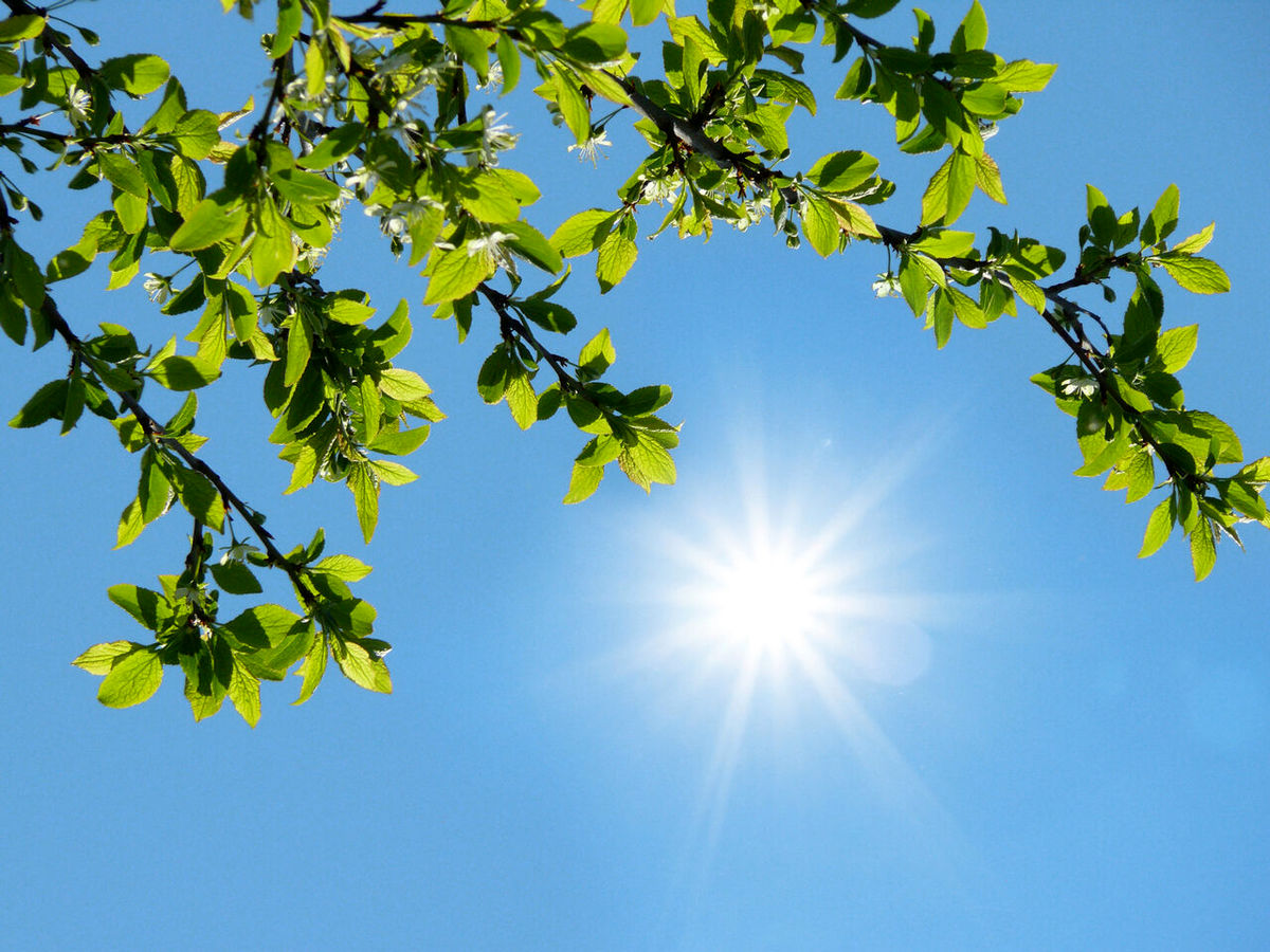 افزایش تدریجی دما در اغلب مناطق/ گردوخاک  در راه است؟