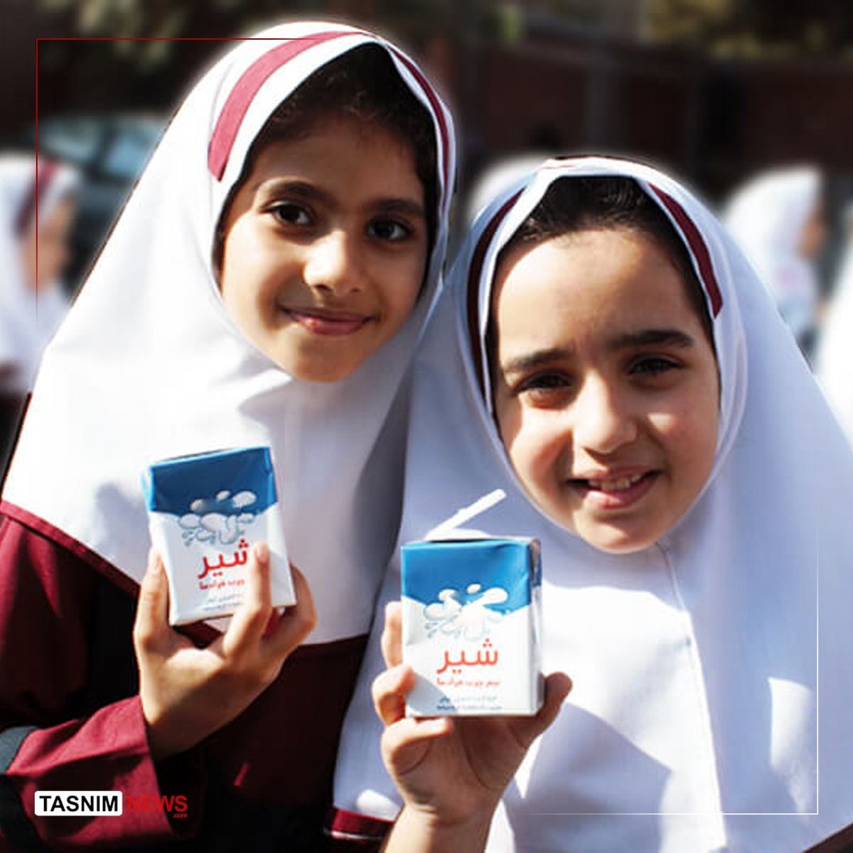 زمان آغاز توزیع شیر رایگان در مدارس دولتی 