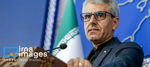 بقائی: مکانیزم ماشه ‌مبنا حقوقی و سیاسی ندارد / تهدید سیاسی با پاسخ متقابل ایران مواجه می‌شود