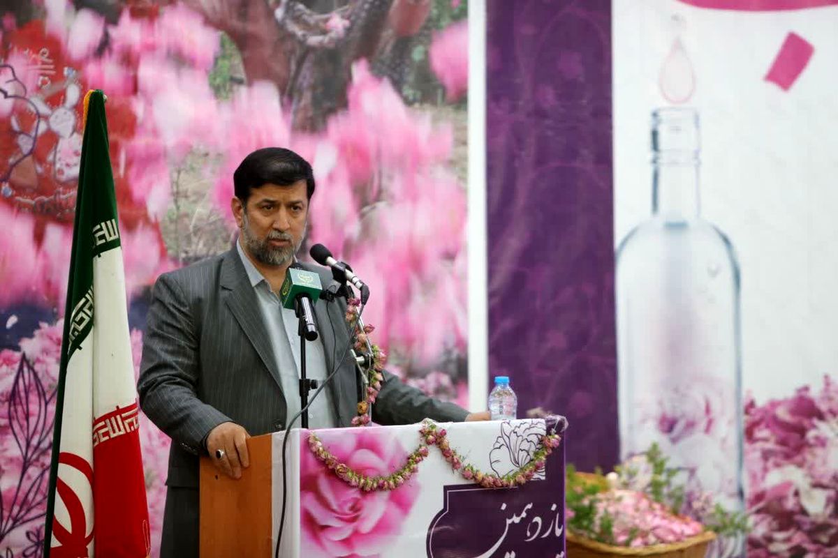 آقامیری: اقتصادی شدن کشاورزی از اهداف وزارت کشاورزی است