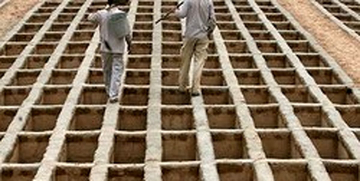 ماجرای اختصاص قبر رایگان به قمیها