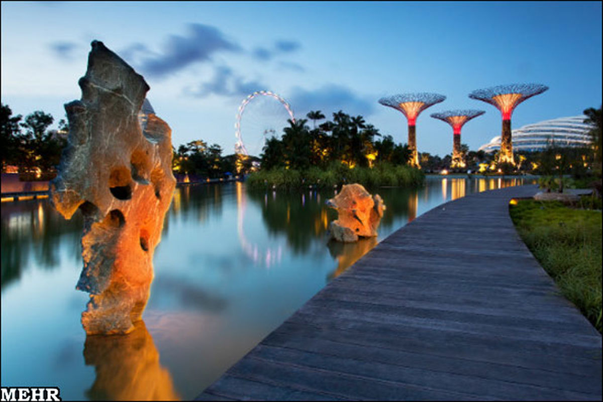 جنگلي مصنوعی در سنگاپور/عکس