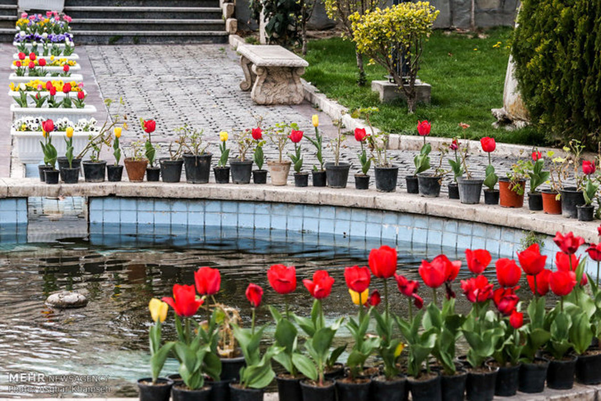 تصاویر: باغ موزه هنر ایرانی