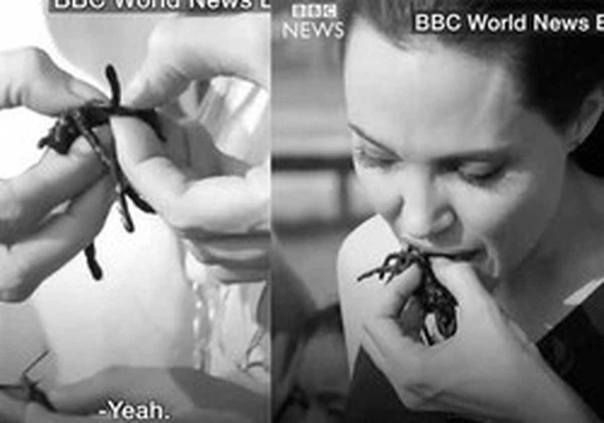 چرا سلبریتی‌های غرب، سوسک‌خور شده‌اند؟ +تصاویر