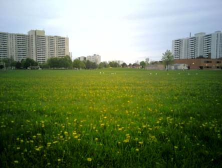 مقایسه معنی دار بین اجاره خانه در تهران و تورنتو