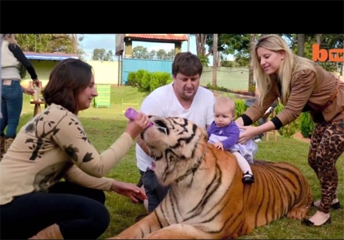 حیوانات درنده خانگی/تصاویر