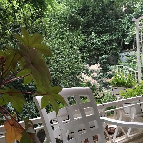 خانه زیبای نیکی کریمی در زعفرانیه +عکس