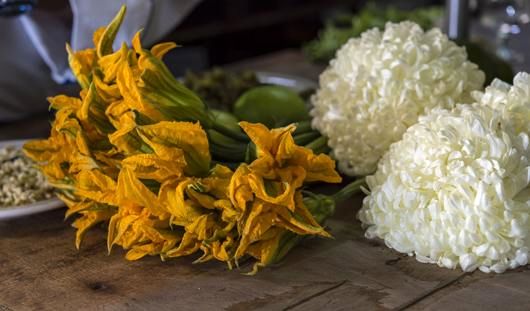 غذاهای عجیب و غریب مکزیکی/تصاویر