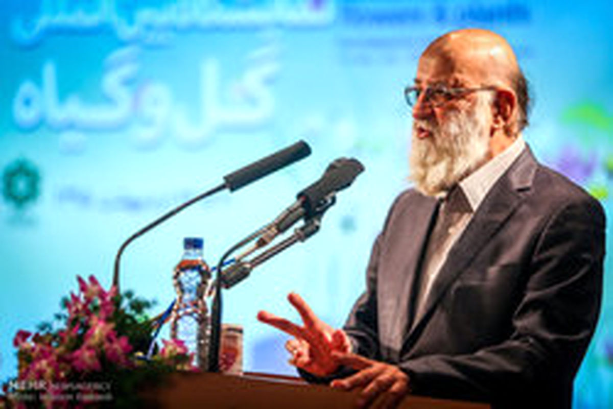 چمران: بسیاری از مشکلات به دلیل ندانم کاری است