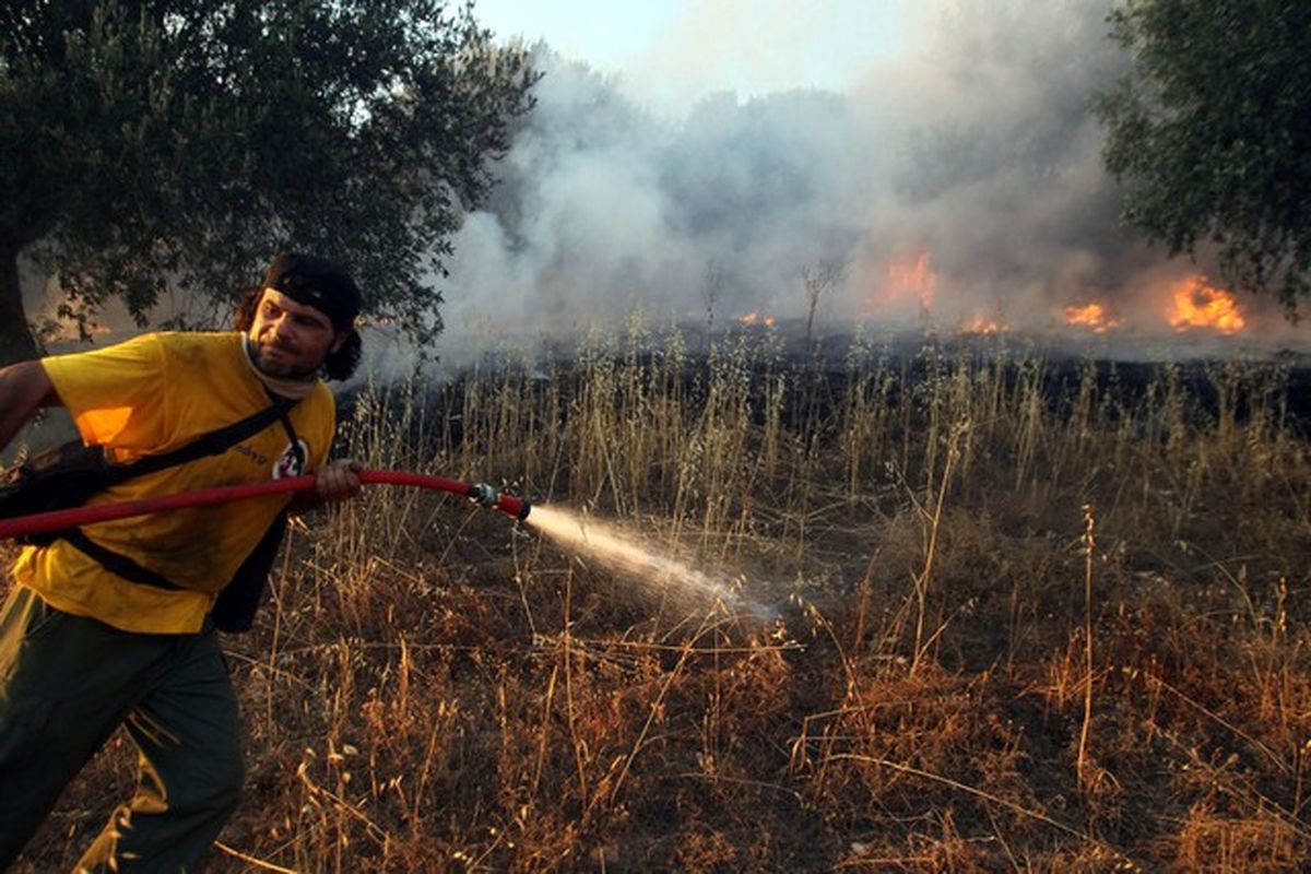 عکس/ آتش گرفتن جنگل