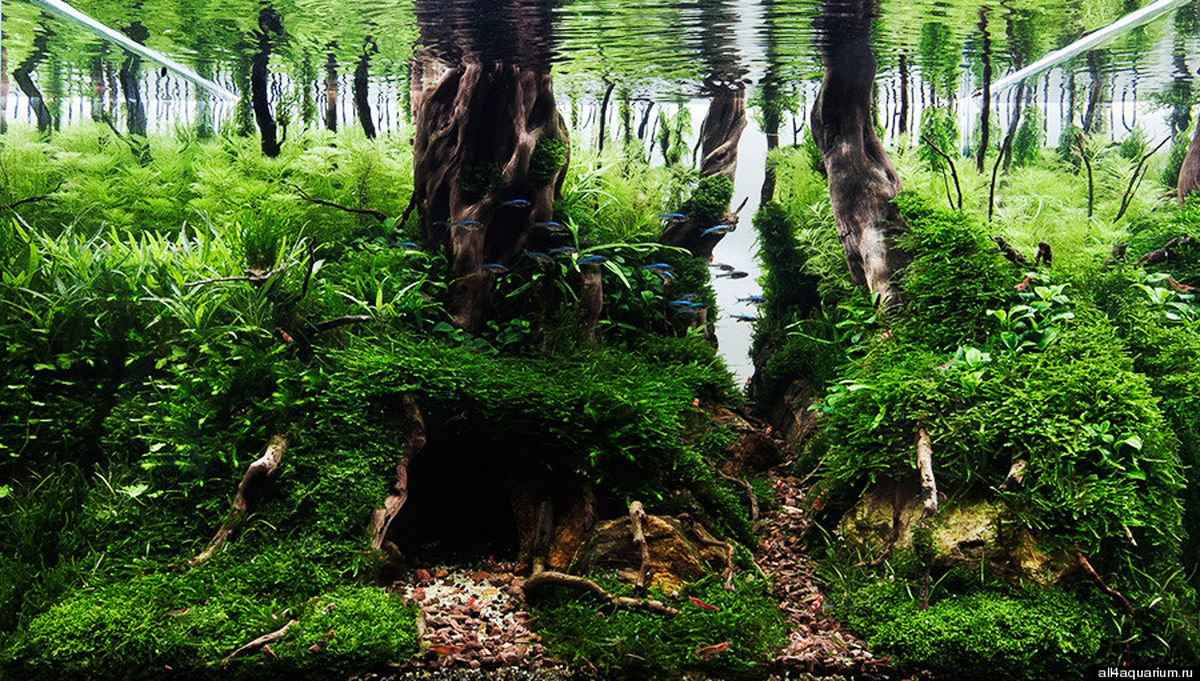 دنیای مینیاتوری