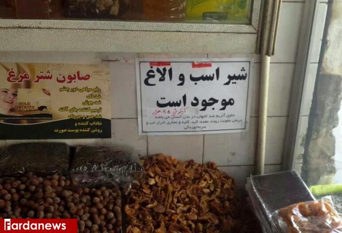 عکس: فروش علنی شیر الاغ و اسب!