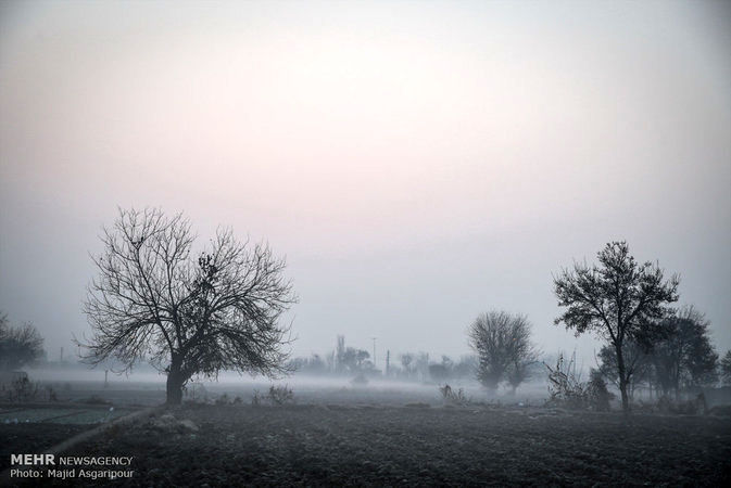 تصاویر: آسمان مه آلود تهران