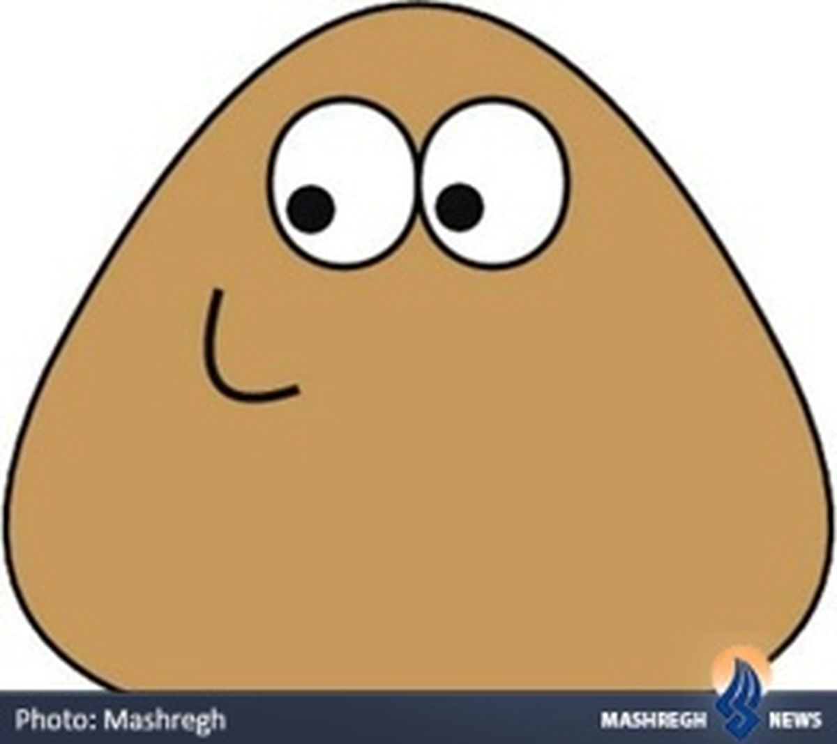 "پو"،سرگرمی این روزهای جوانان