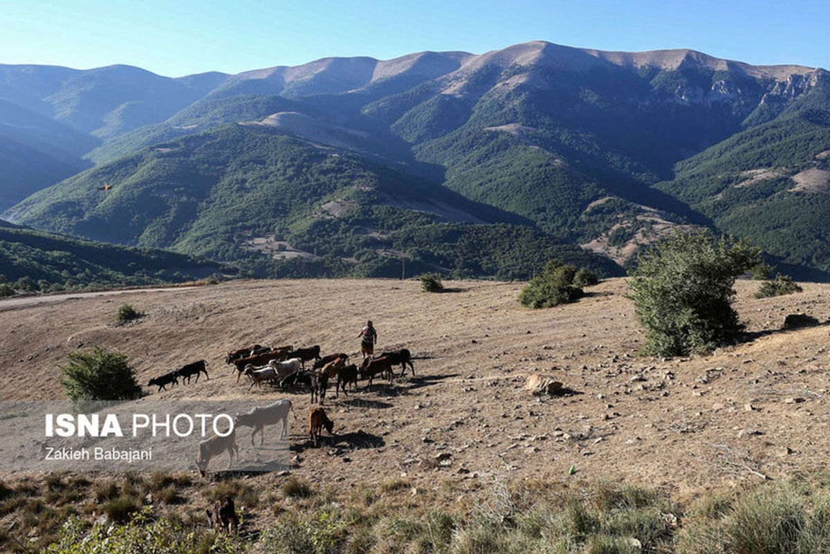 تصاویر: زندگی متفاوت یک «گالش»