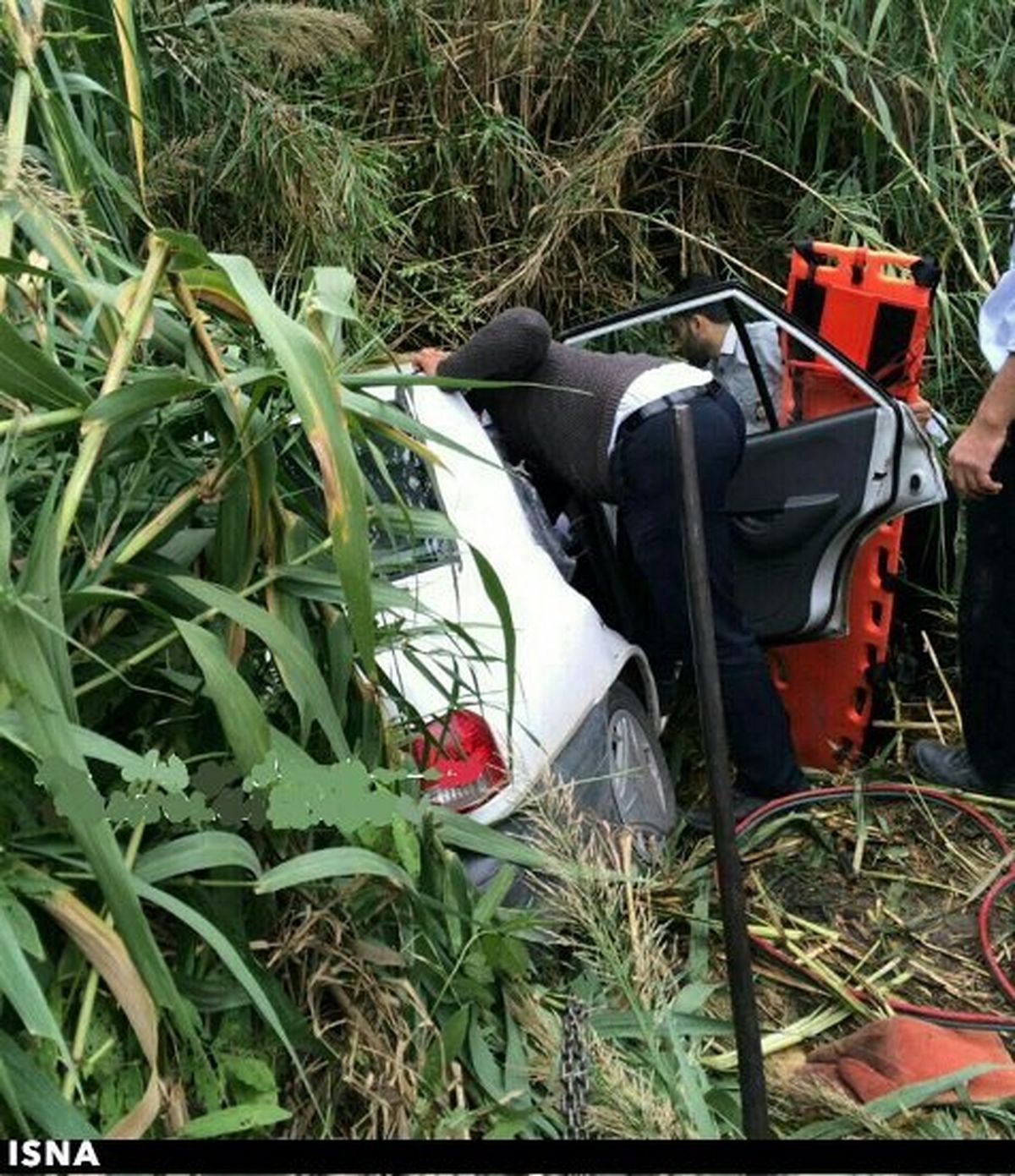 نجات یک زن پنهان شده در میان شالیزارها +عکس