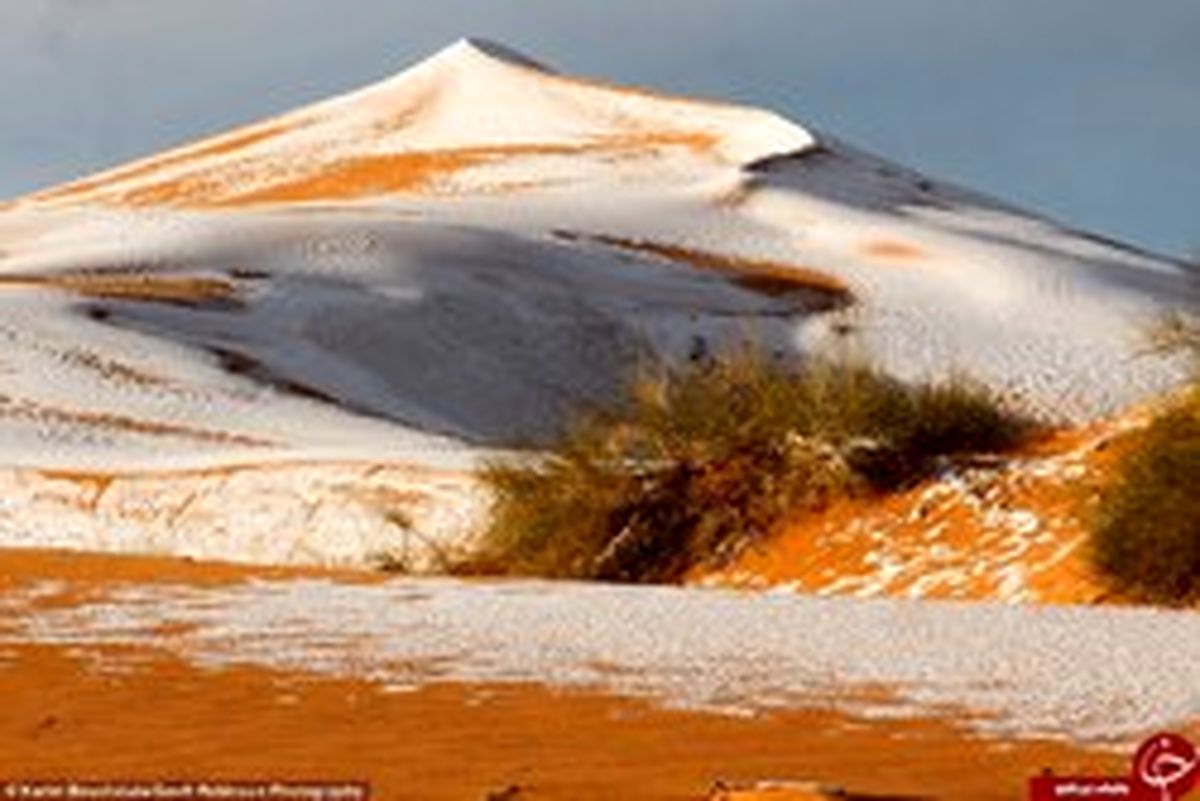 بارش برف در صحرای آفریقا! +تصاویر