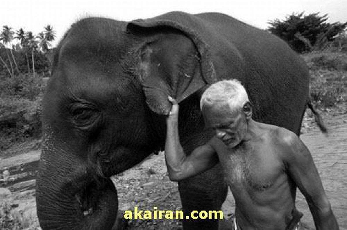 گناه داره /عکس