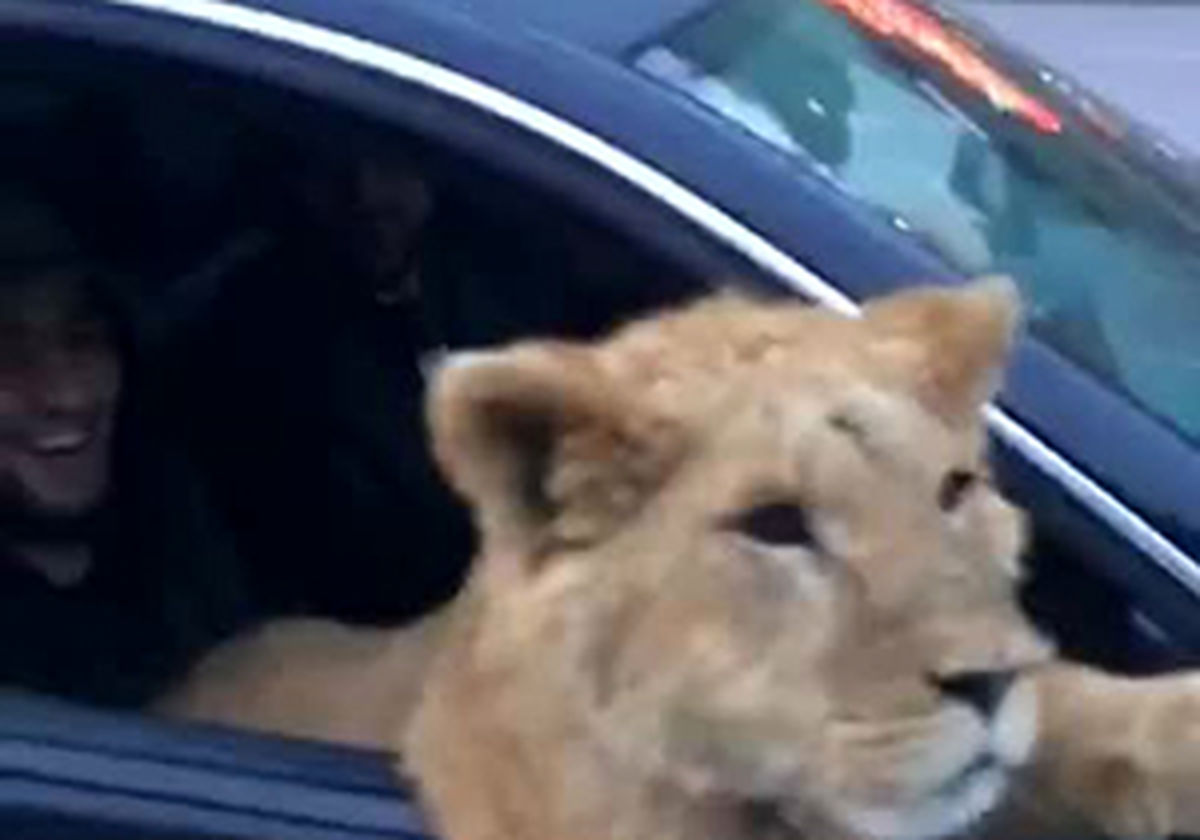 حیوان خانگی عجیب یک شهروند روسی! +عکس