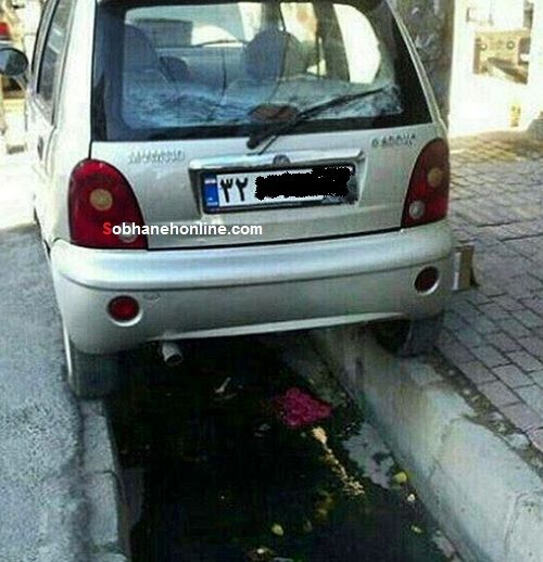 عکس: شاهکار پارک یک ایرانی با خودروی چینی