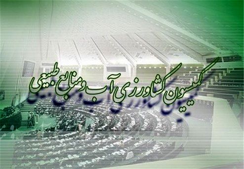 وزرای دولت برای توضیح درباره علت گرانی مرغ به مجلس نرفتند