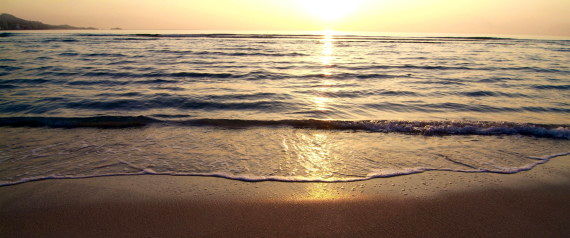 ویتامین D در چه چیزهایی وجود دارد؟