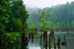 دریاچه ارواح در ایران! +عکس