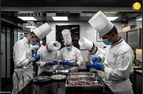 تصاویر: پای قورباغه؛ غذای مورد علاقه فرانسوی‌ها