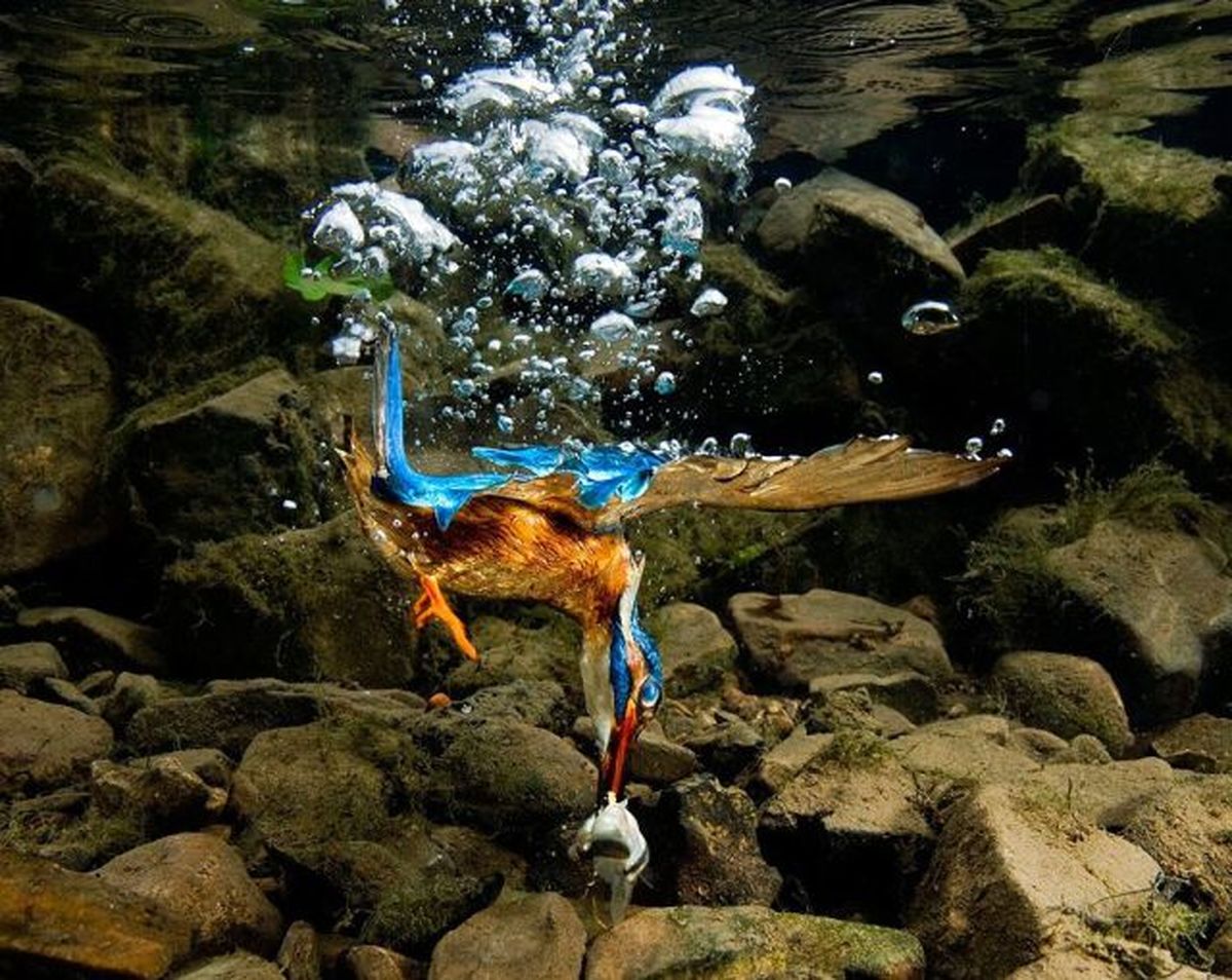 شاهکار عکاسی/عکس