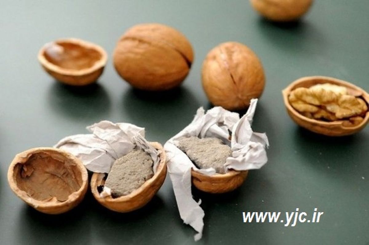 عکس / چینی ها گردو را هم جعل می کنند!