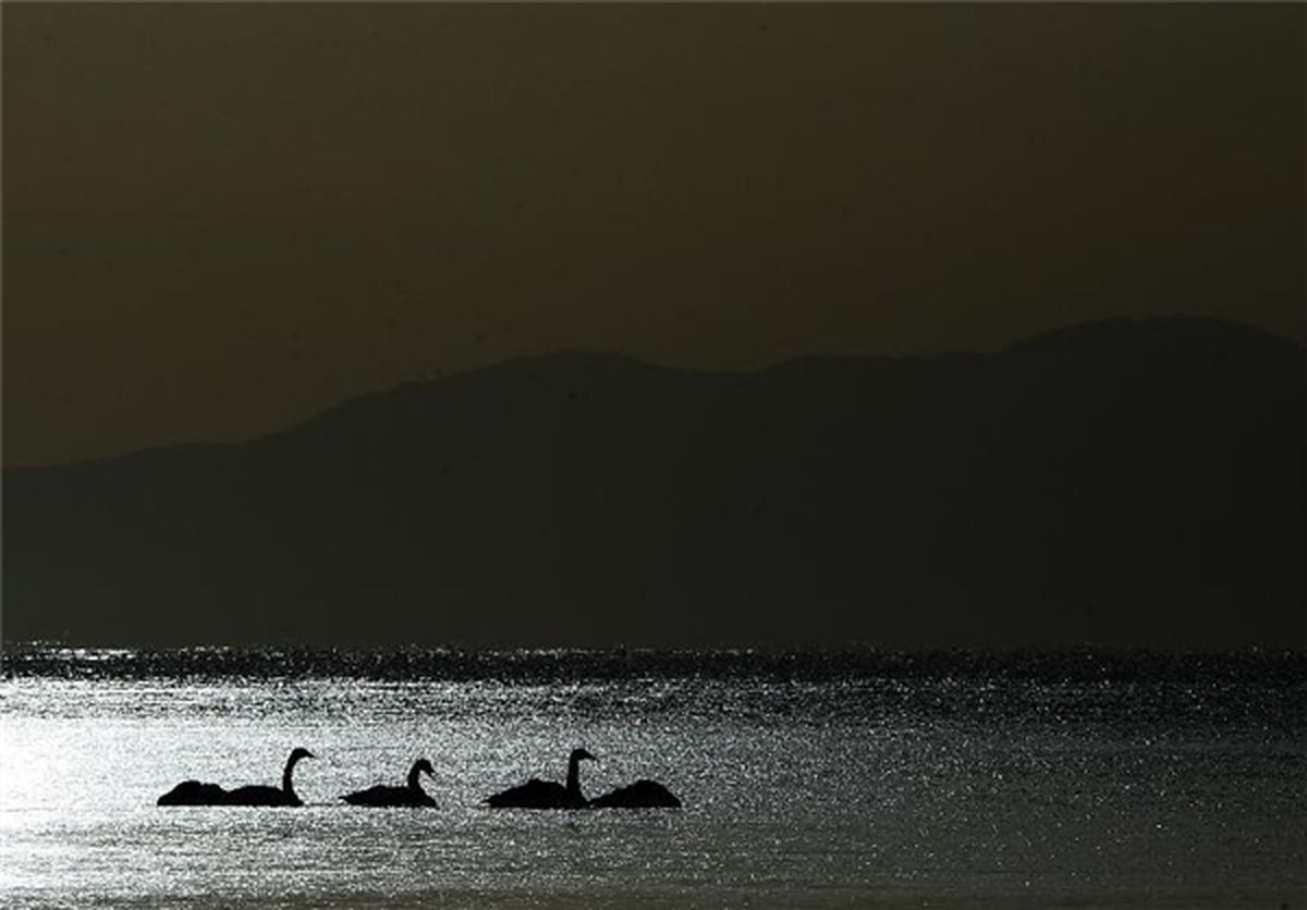 بزرگترین دریاچه آب شور چین/تصاویر