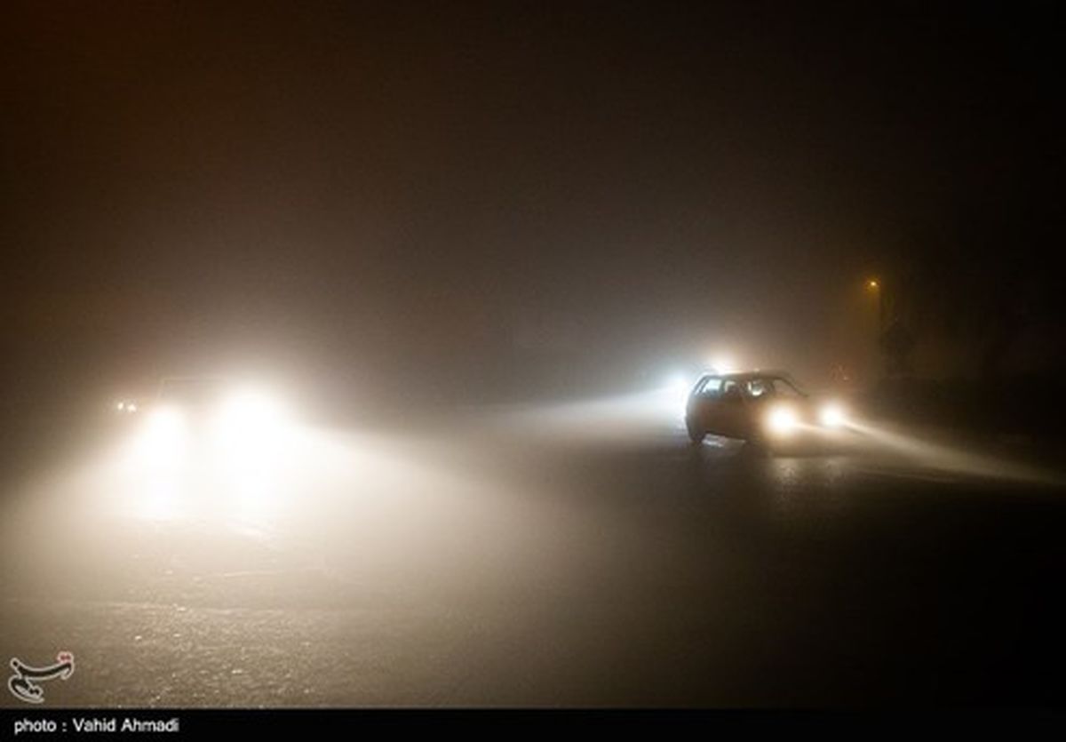 تصاویر: بارش باران و مه گرفتگی در تهران