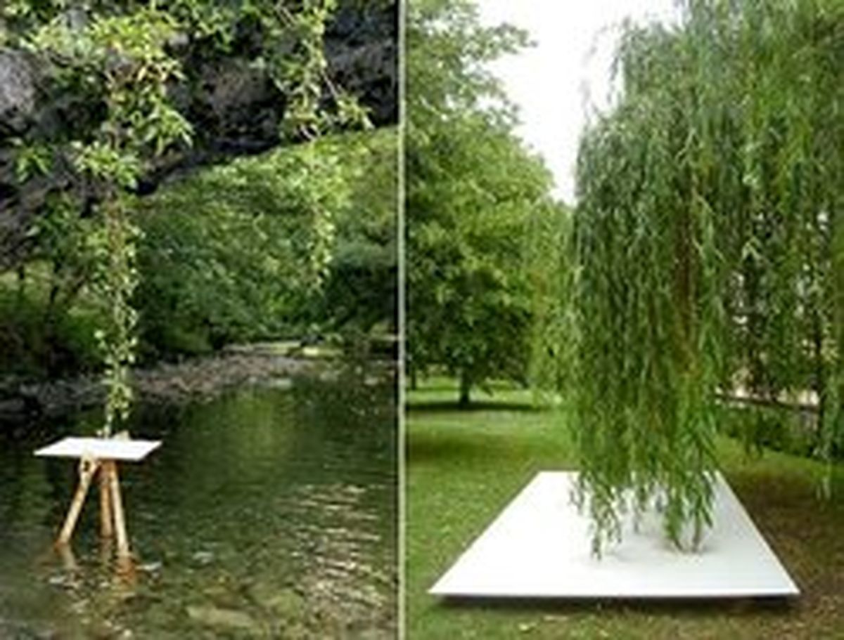 درخت‌هایی که نقاشی می‌کنند! +تصاویر