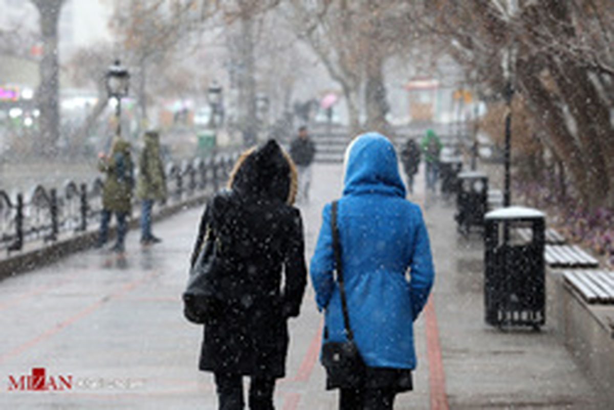 وضعیت هوای ارتفاعات دنا و محل سقوط هواپیما