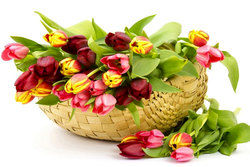 ۷ گل رمانتیک که حاوی پیغامی است