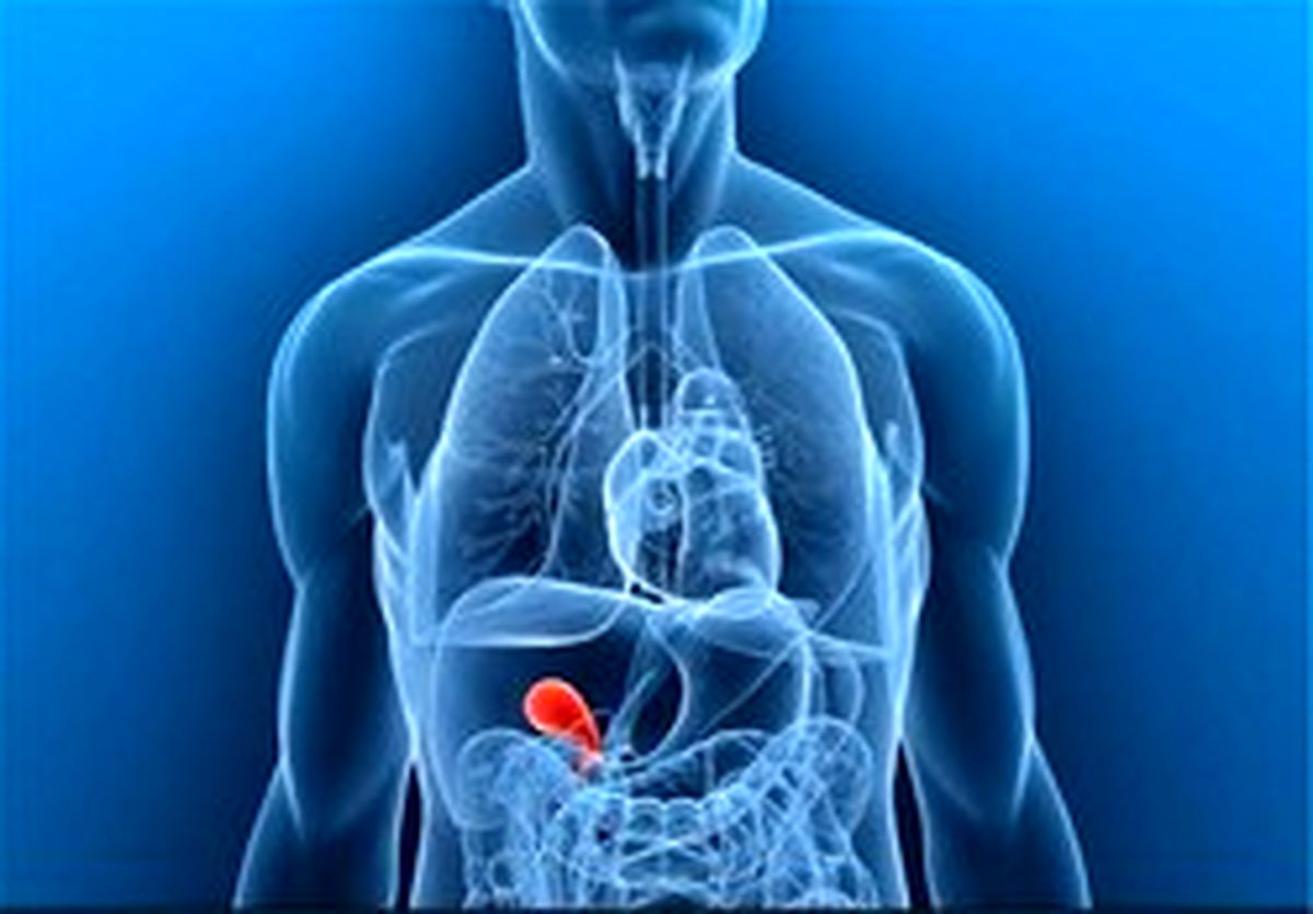 پیشنهادی برای افزایش قدرت دفاعی بدن