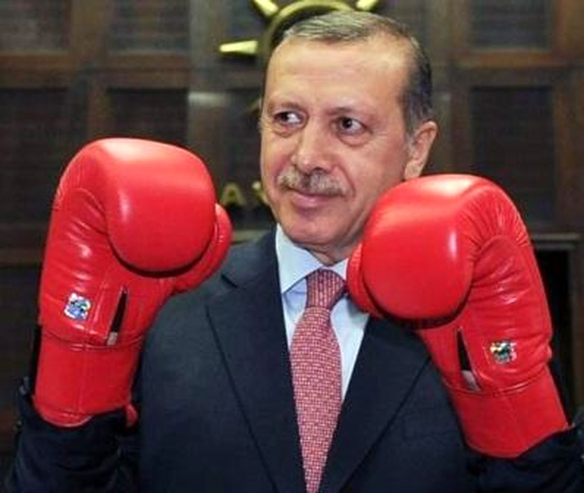 عکس/ ژست اردوغان با دستکش بوکس!