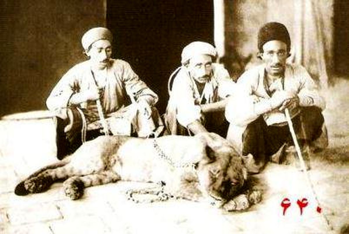 سرگذشت‌شیرمنقرض‌شده‌ایرانی/عکس