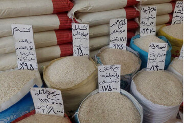 قیمت جدید برنج | برنج ایرانی، هندی و پاکستانی کیلویی چند؟