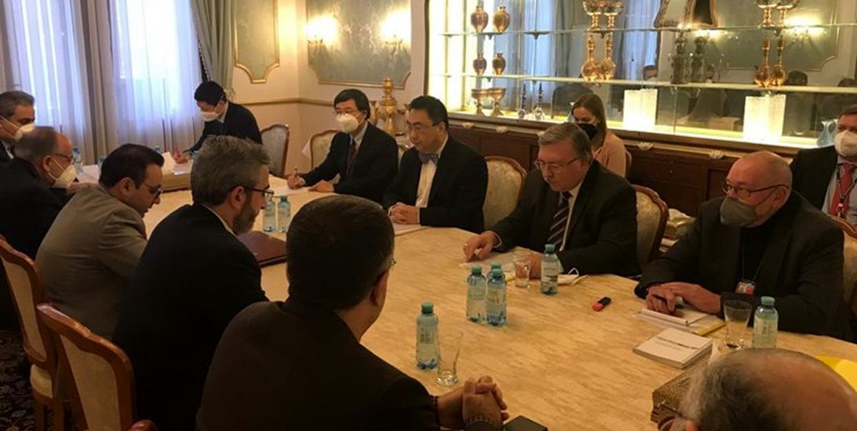 رایزنی برجامی هیأت‌های ایران، روسیه و چین در وین +فیلم