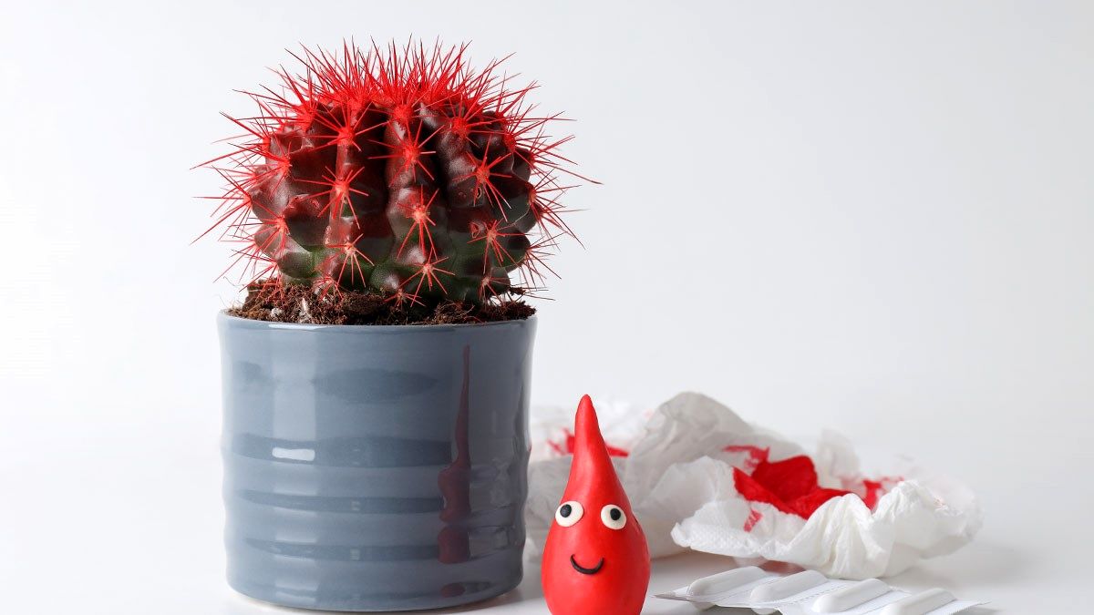 برای درمان هموروئید چه کنیم؟