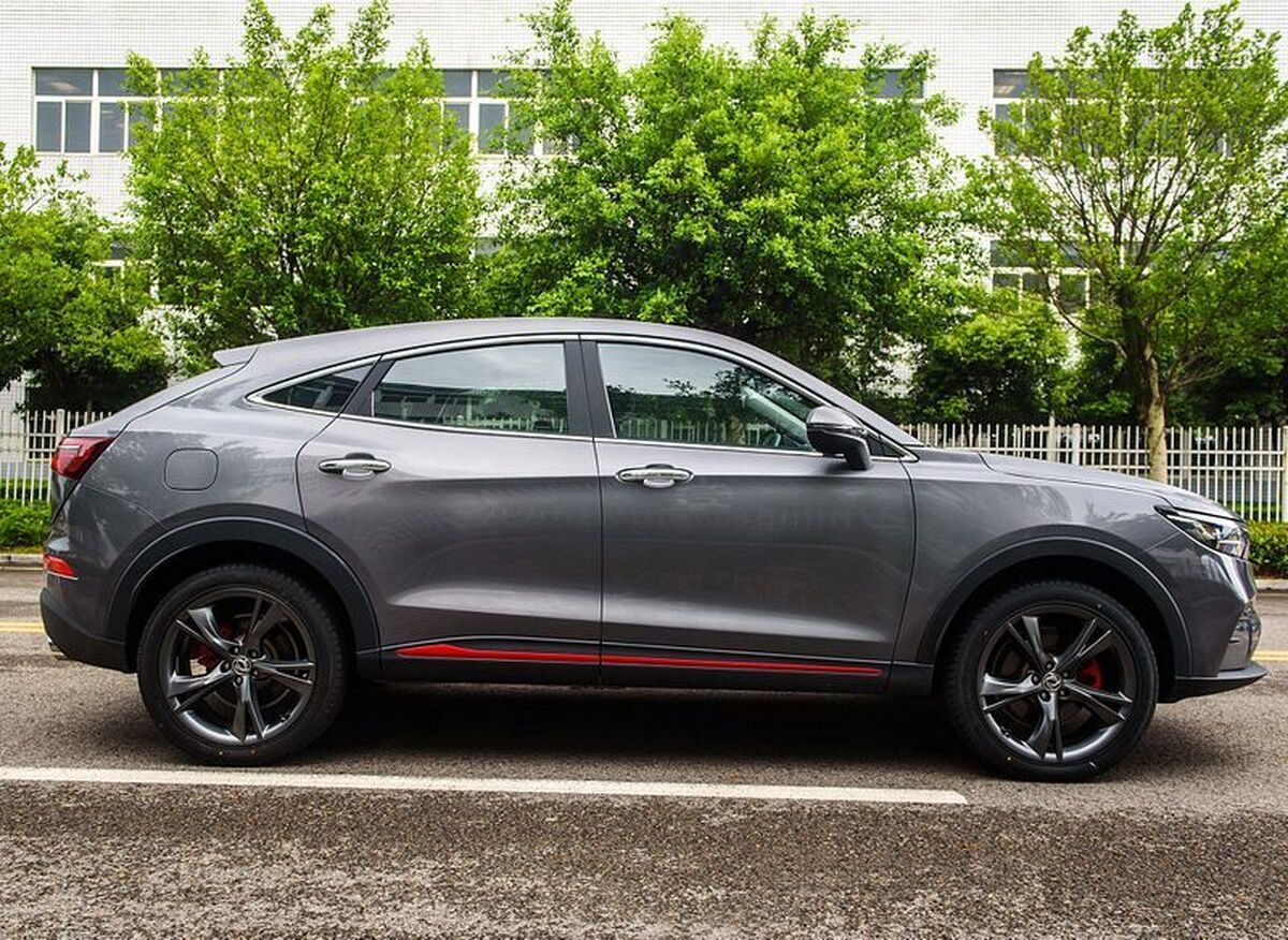 قیمت بازار آزاد دیگنیتی گران شد