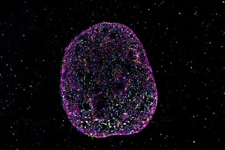 کشف عجیب دانشمندان 