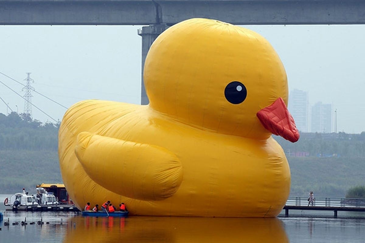 عکس / اردک غولآسا